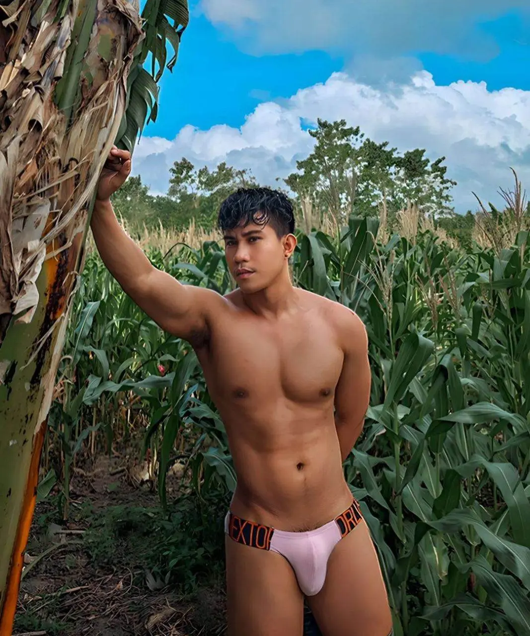ณ ไร่ข้าวโพด