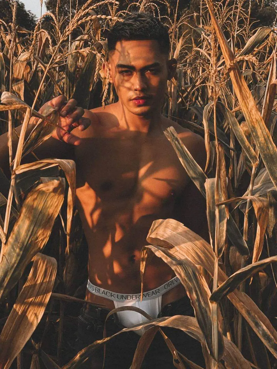 ณ ไร่ข้าวโพด