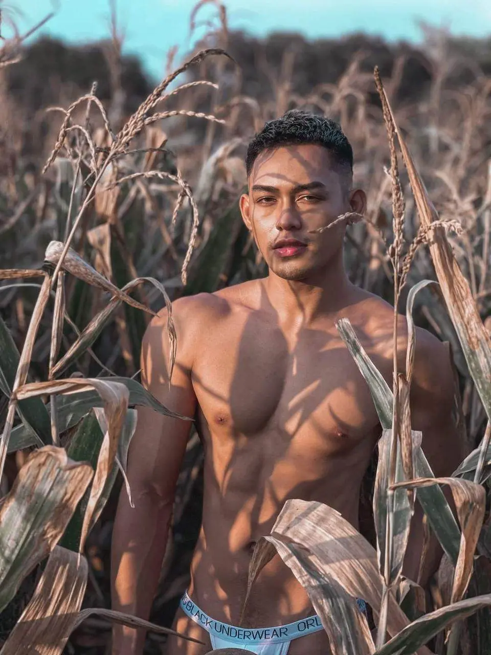 ณ ไร่ข้าวโพด