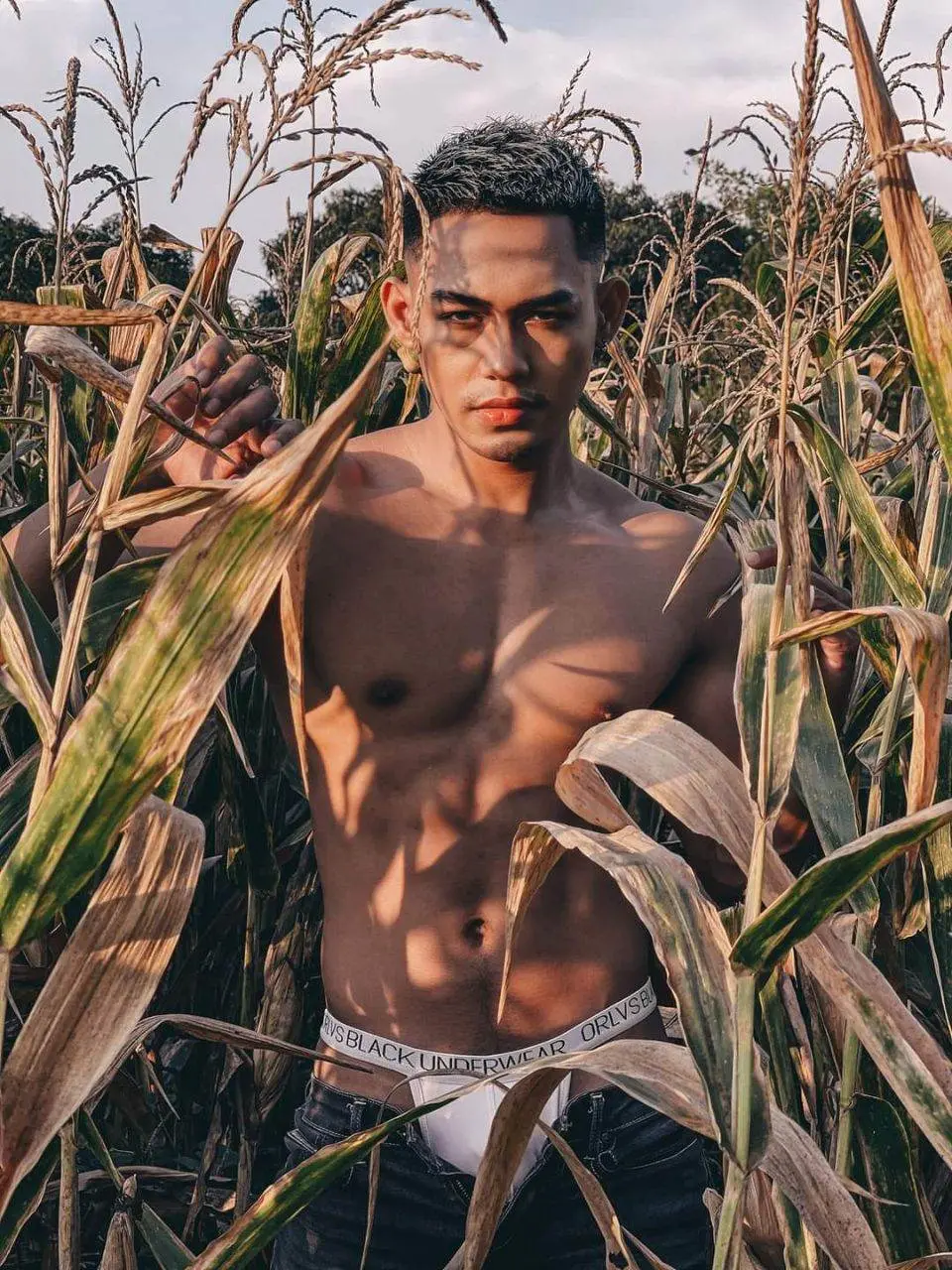 ณ ไร่ข้าวโพด