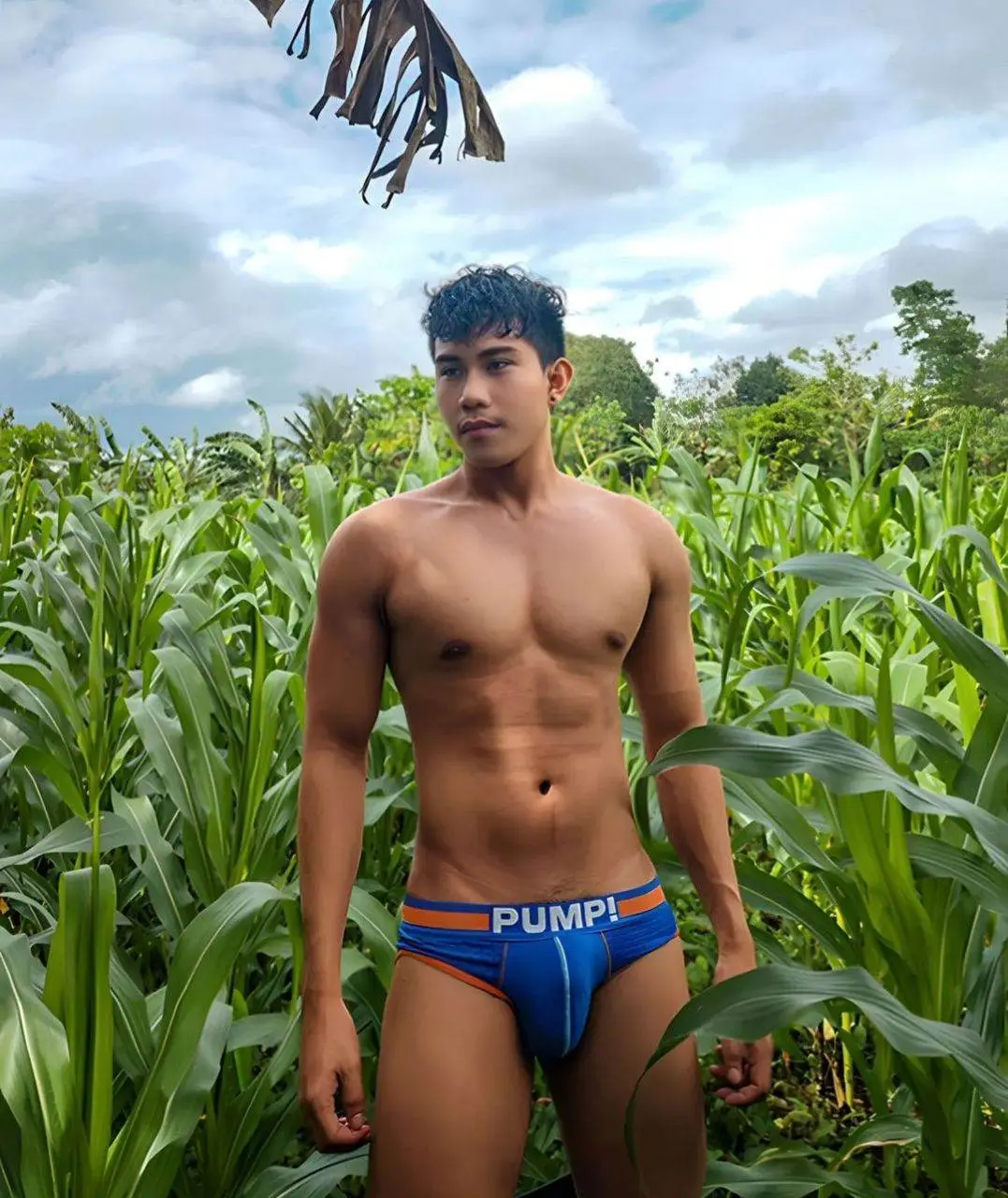 ณ ไร่ข้าวโพด