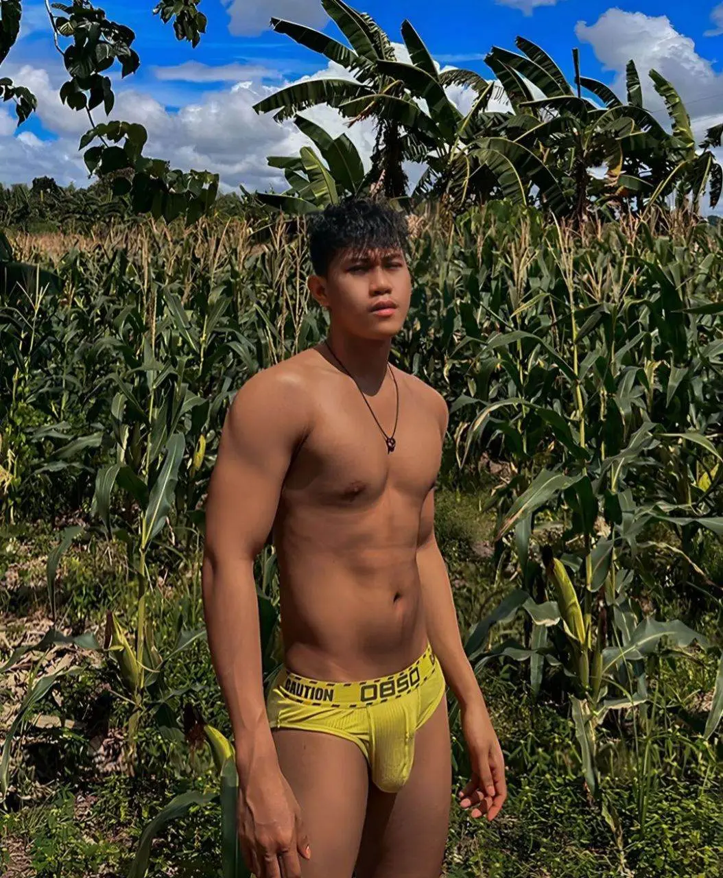 ณ ไร่ข้าวโพด