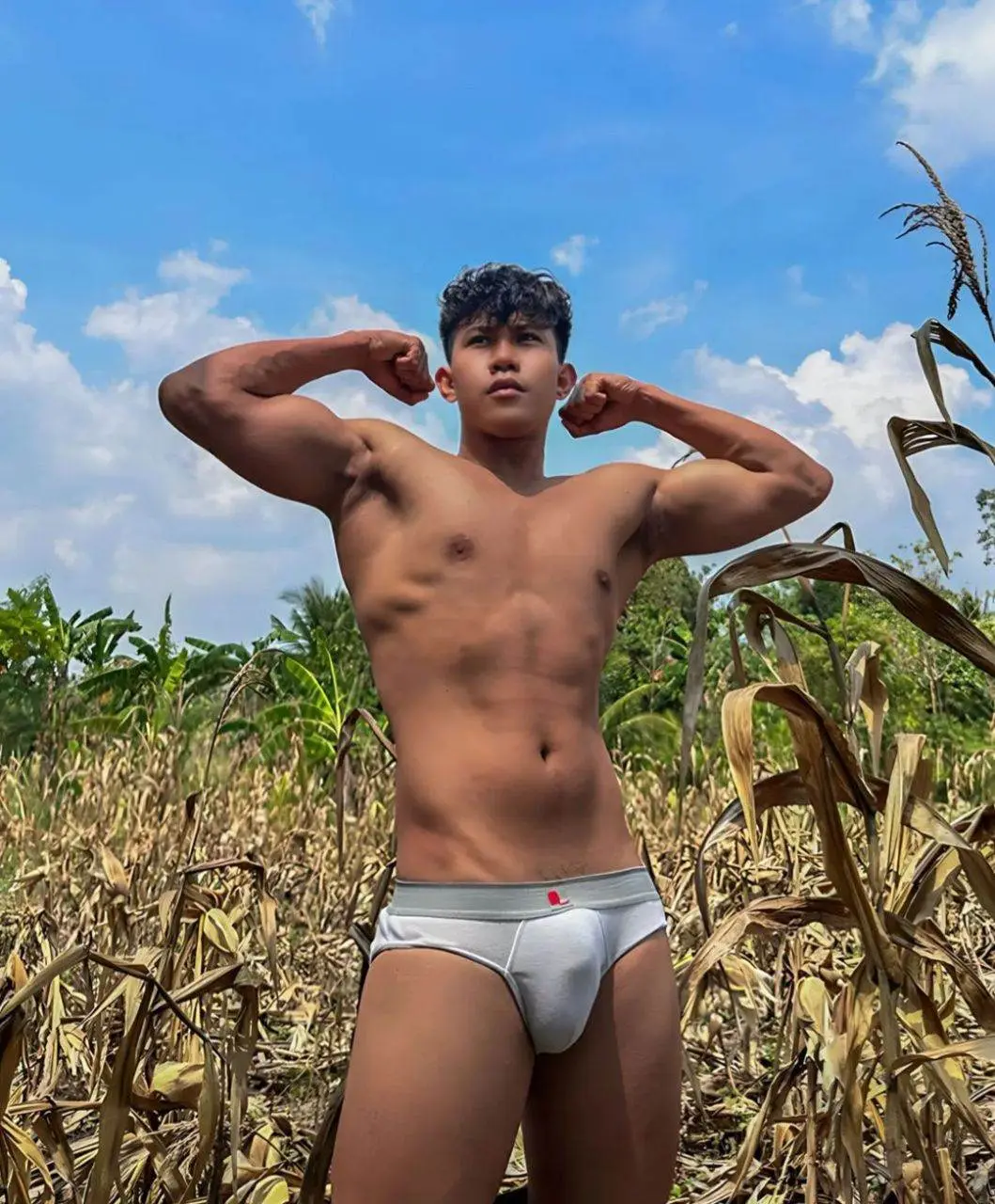 ณ ไร่ข้าวโพด