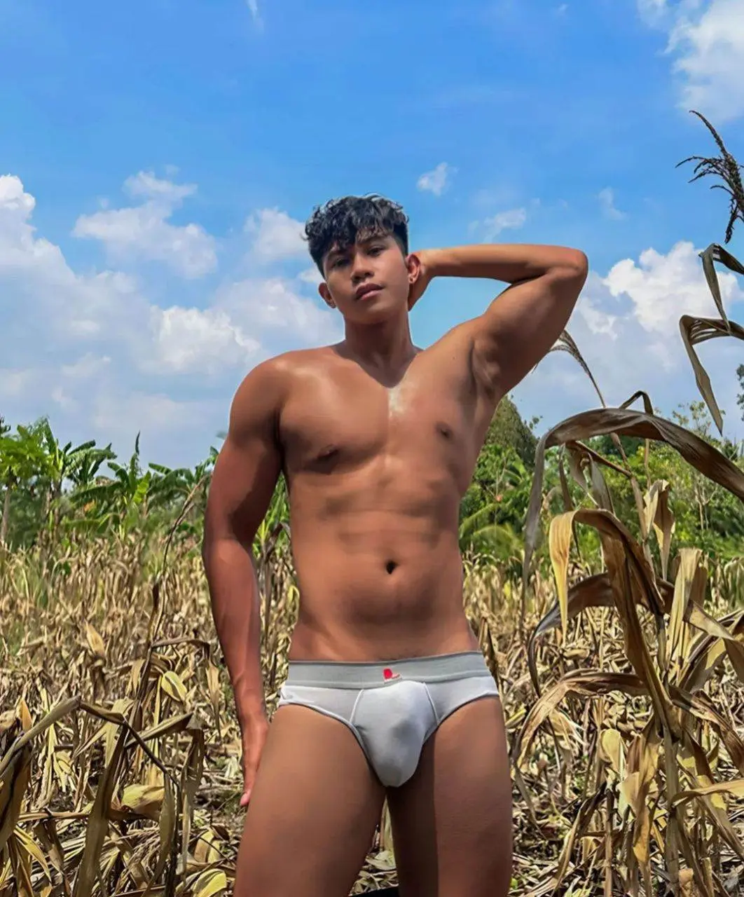 ณ ไร่ข้าวโพด