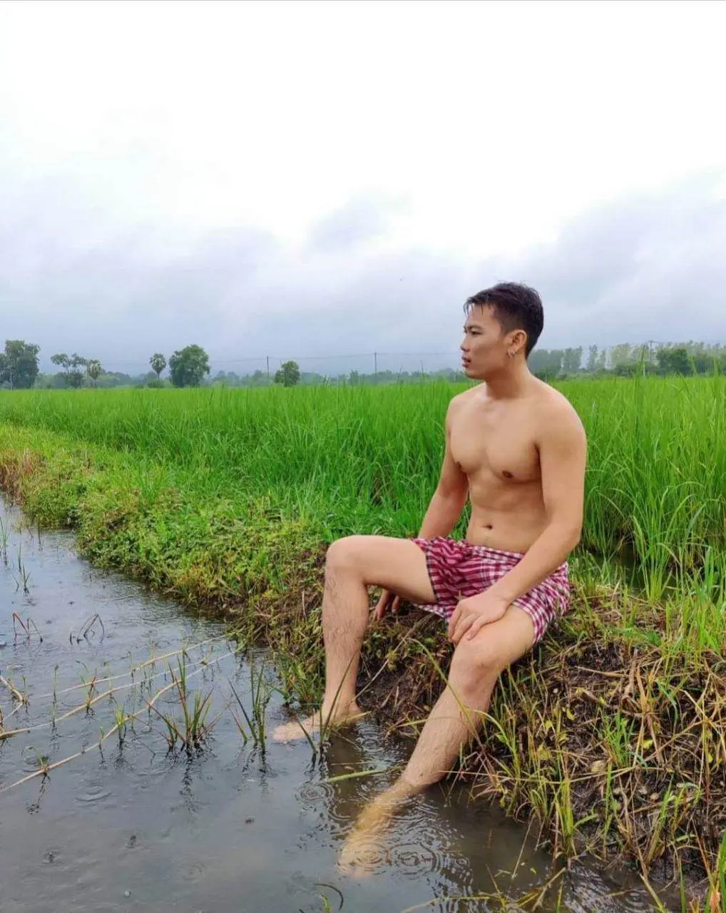 ชมทุ่ง