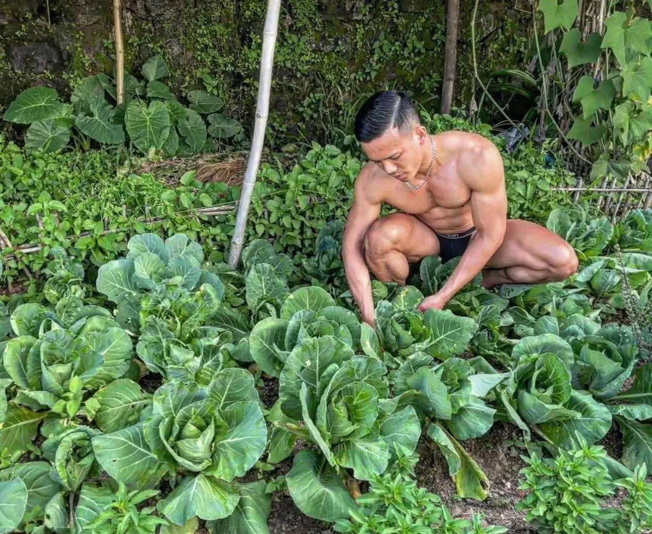หนุ่ม..ทำสวน