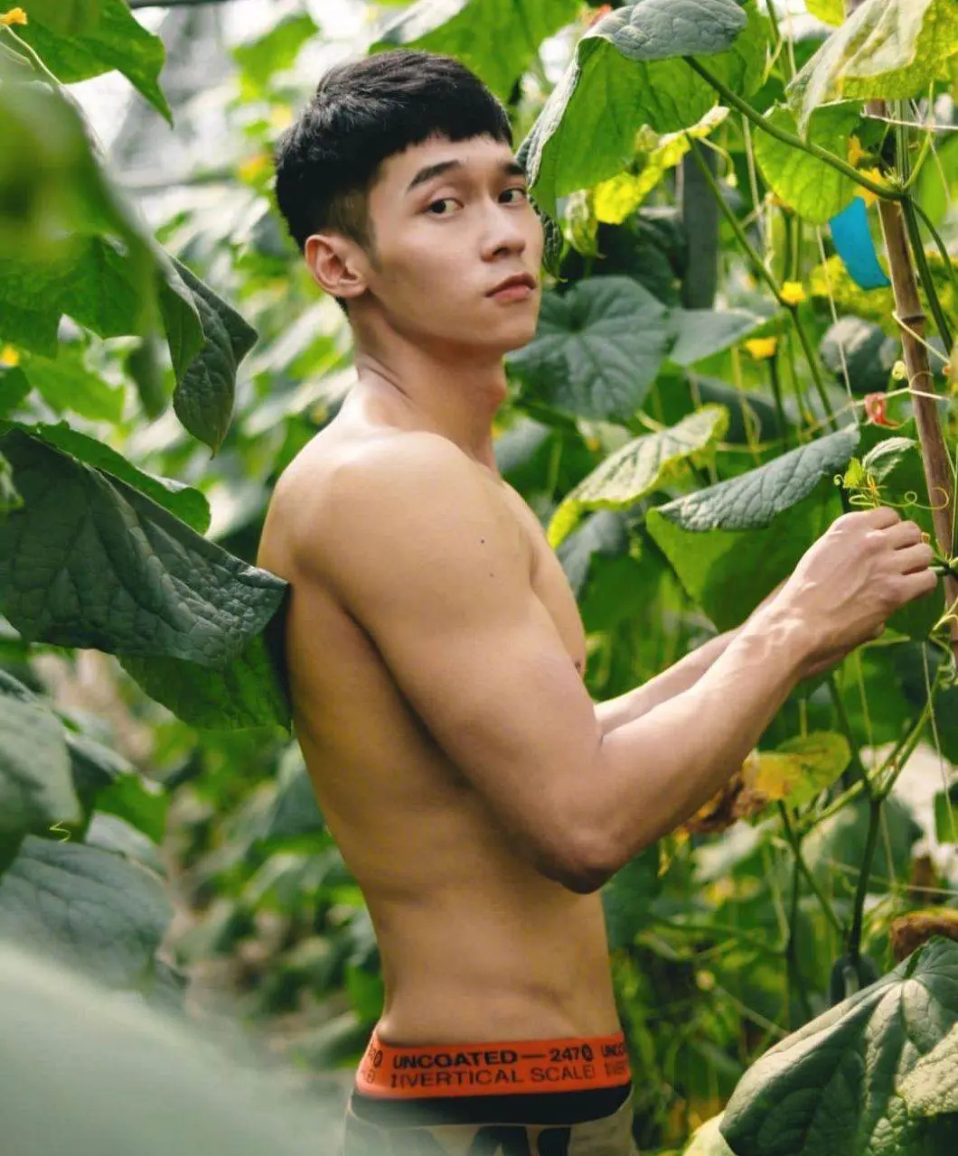 หนุ่ม..ทำสวน