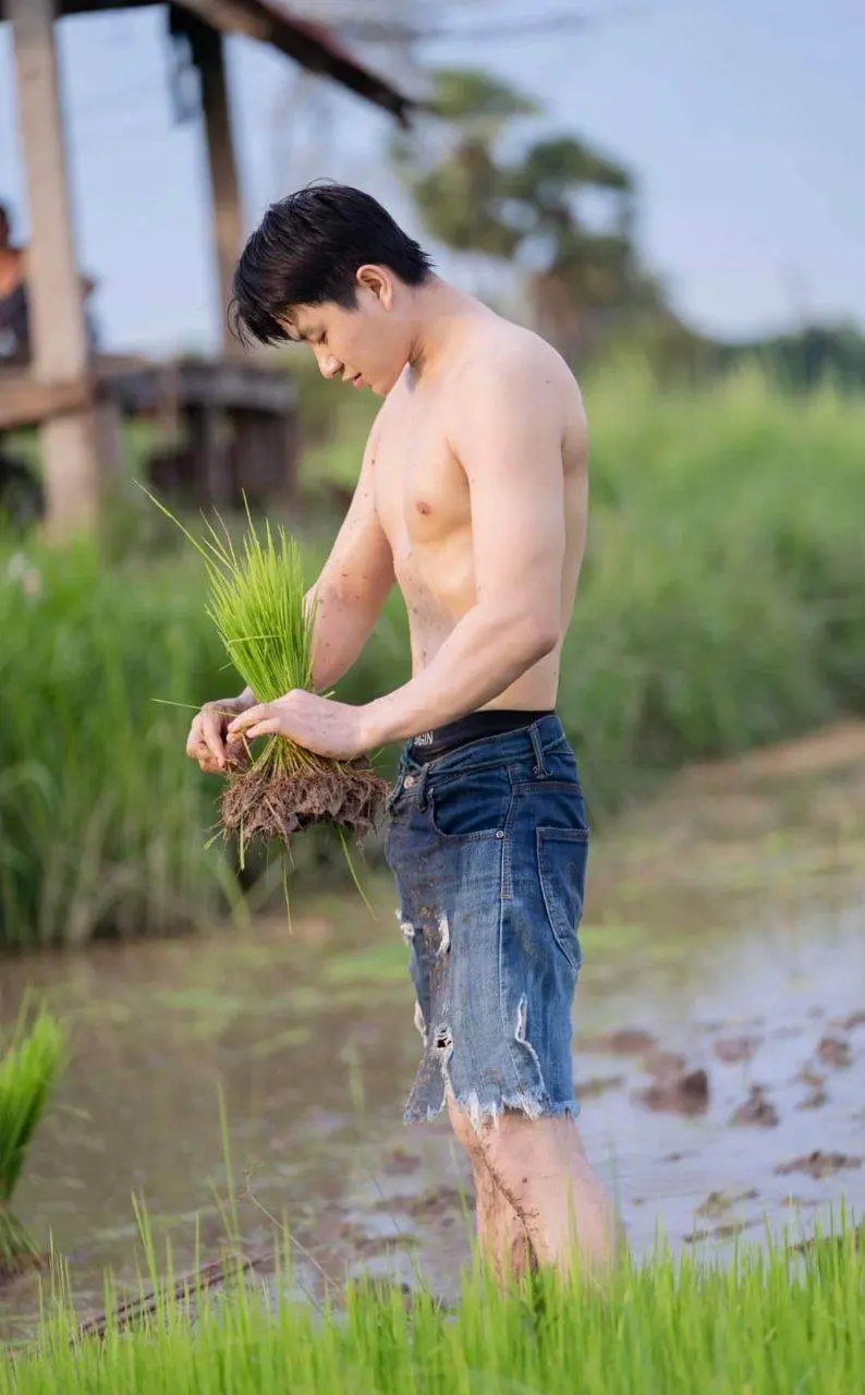 หนุ่ม..ดำนา