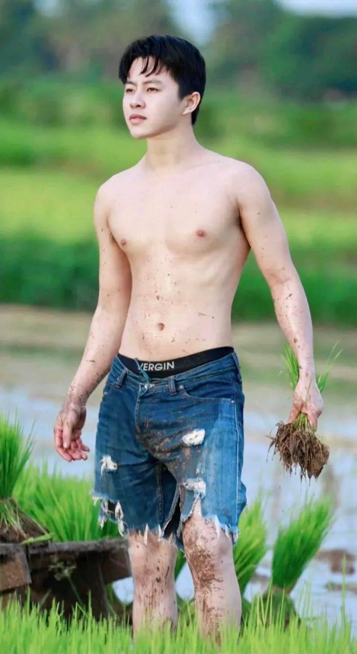 หนุ่ม..ดำนา