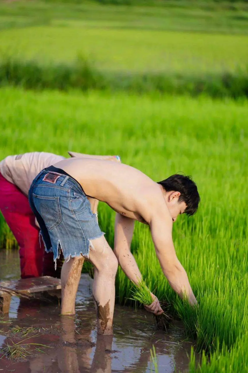 หนุ่ม..ดำนา