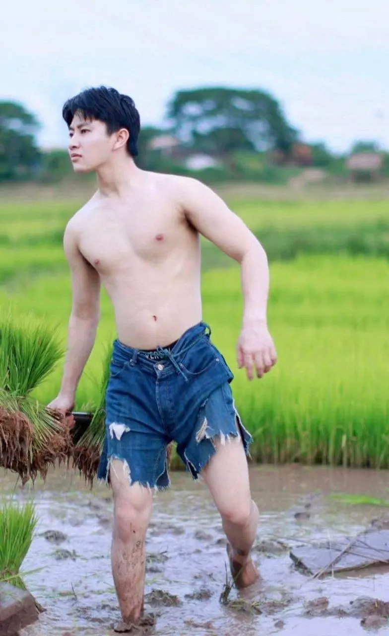 หนุ่ม..ดำนา
