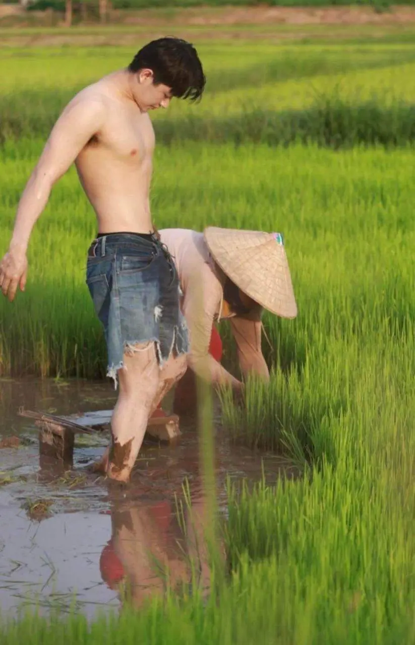 หนุ่ม..ดำนา