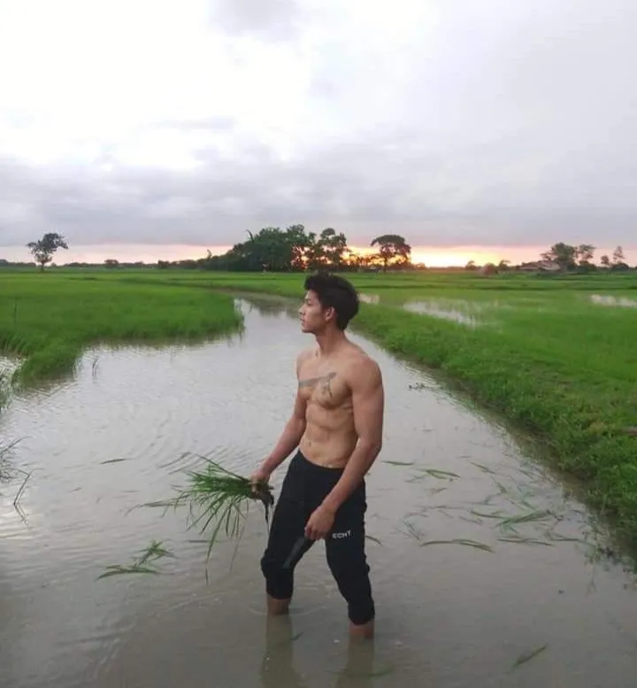 หนุ่ม..ดำนา