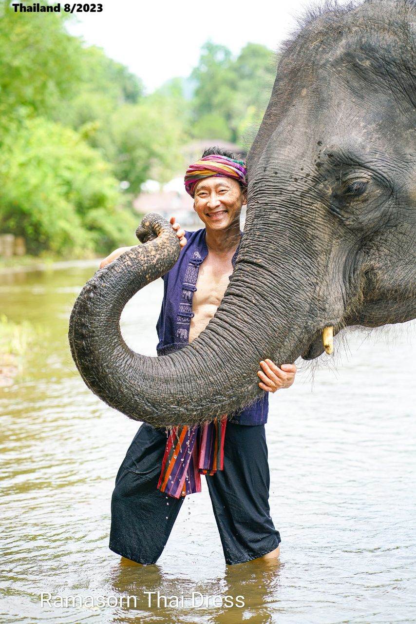 Thai Guy and the Elephant 🇹🇭