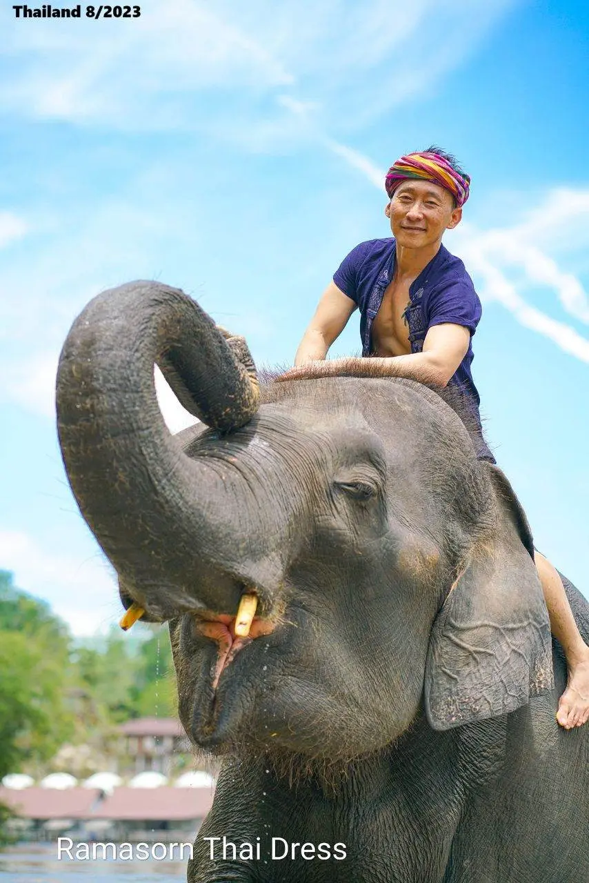 Thai Guy and the Elephant 🇹🇭