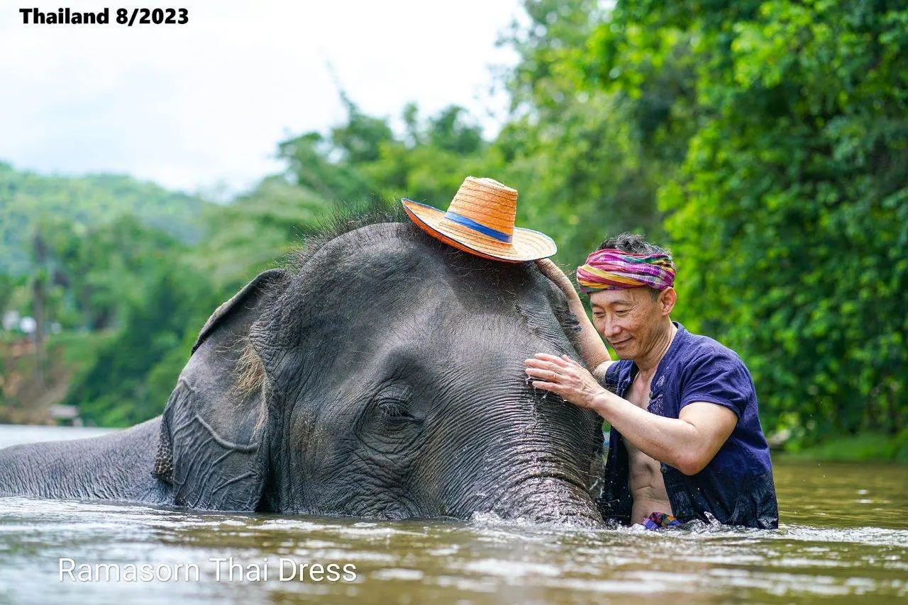 Thai Guy and the Elephant 🇹🇭