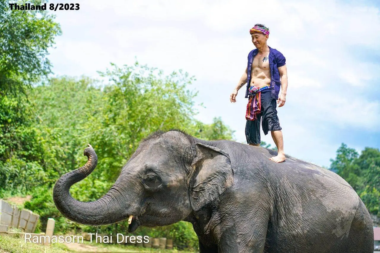 Thai Guy and the Elephant 🇹🇭