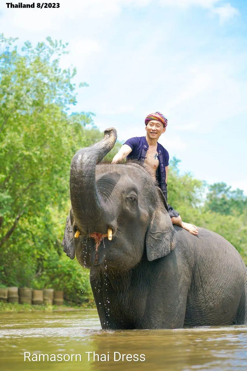 Thai Guy and the Elephant 🇹🇭