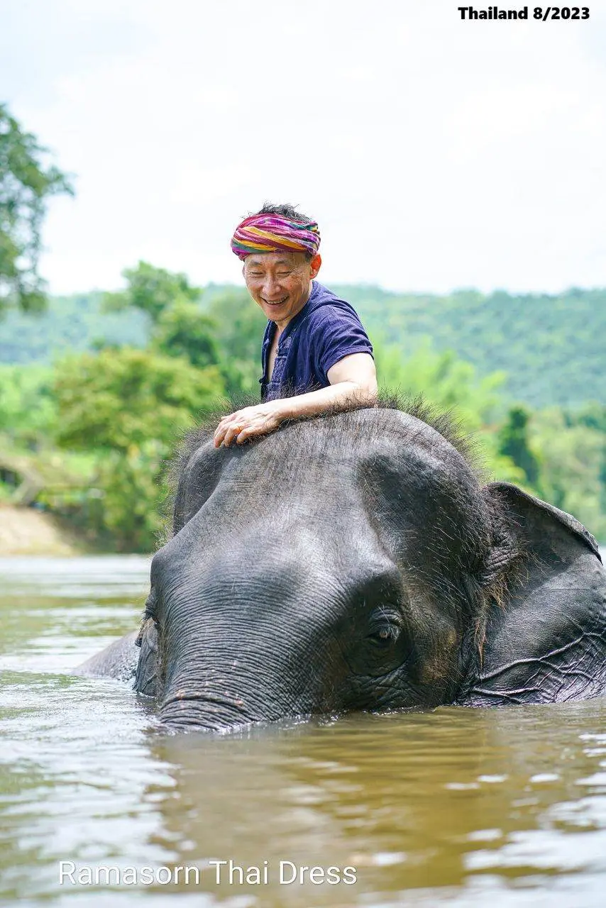 Thai Guy and the Elephant 🇹🇭
