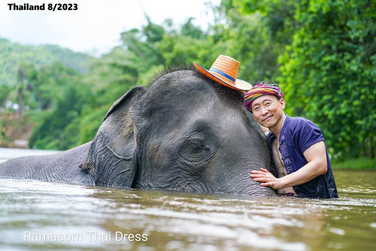 Thai Guy and the Elephant 🇹🇭