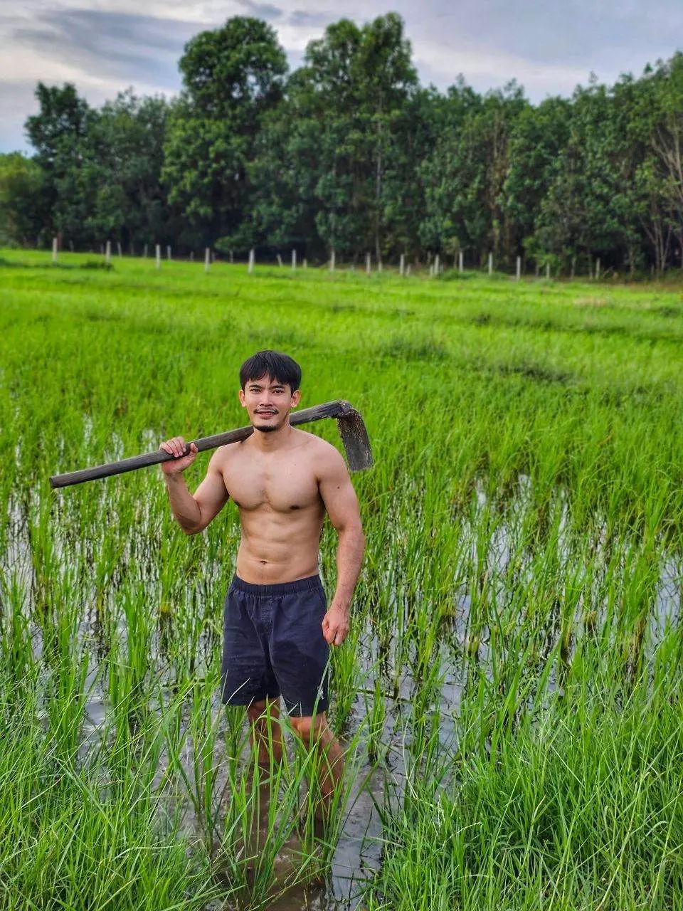 ความเข้มข้นของสา..