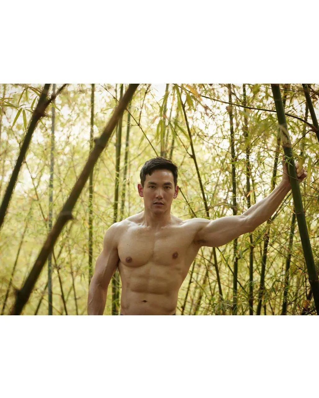 ลำไผ่ของบอส