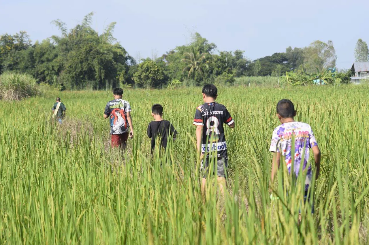 วิถีชน(บท)