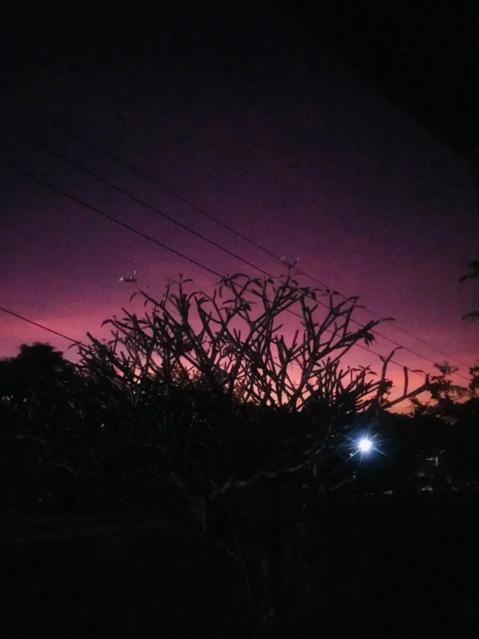 ยามเย็น เห็นแสงสีชมพู