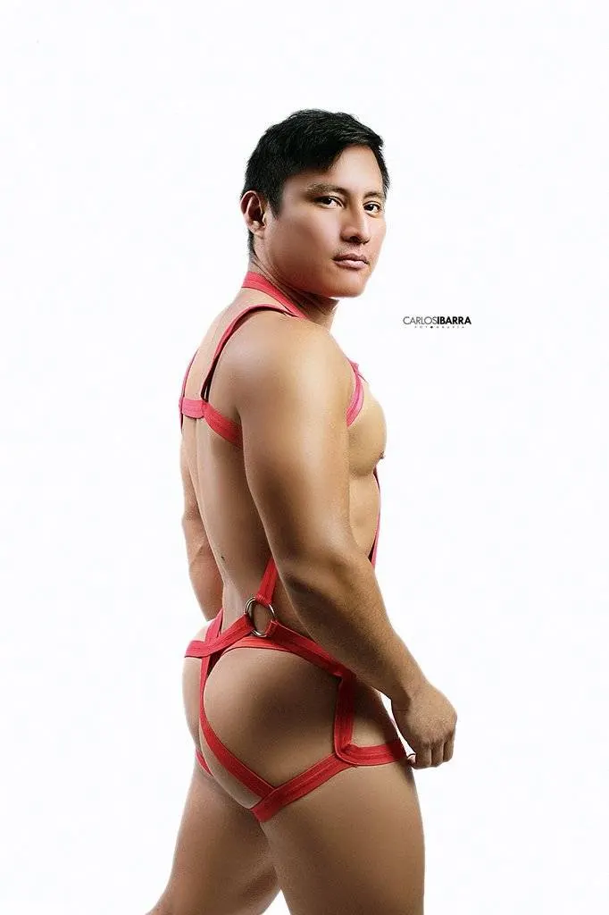 หุ่นหมีๆ จากบราซิล .