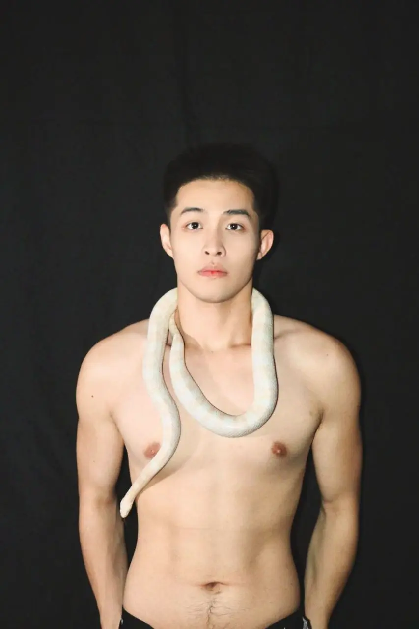 ผู้บ่าวกับงู