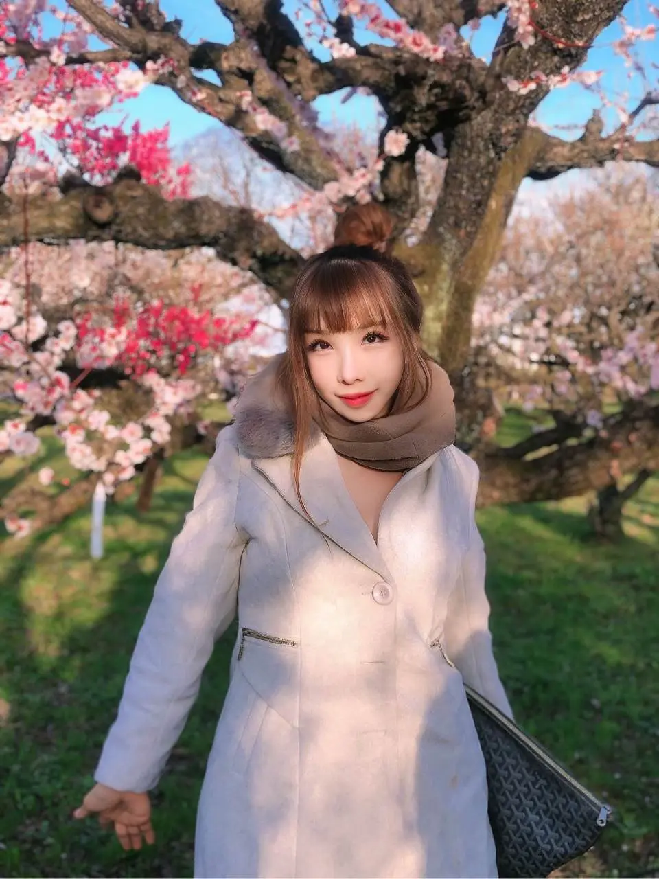 สาวน้อยในดงซากุระ ณ โอซะกะ