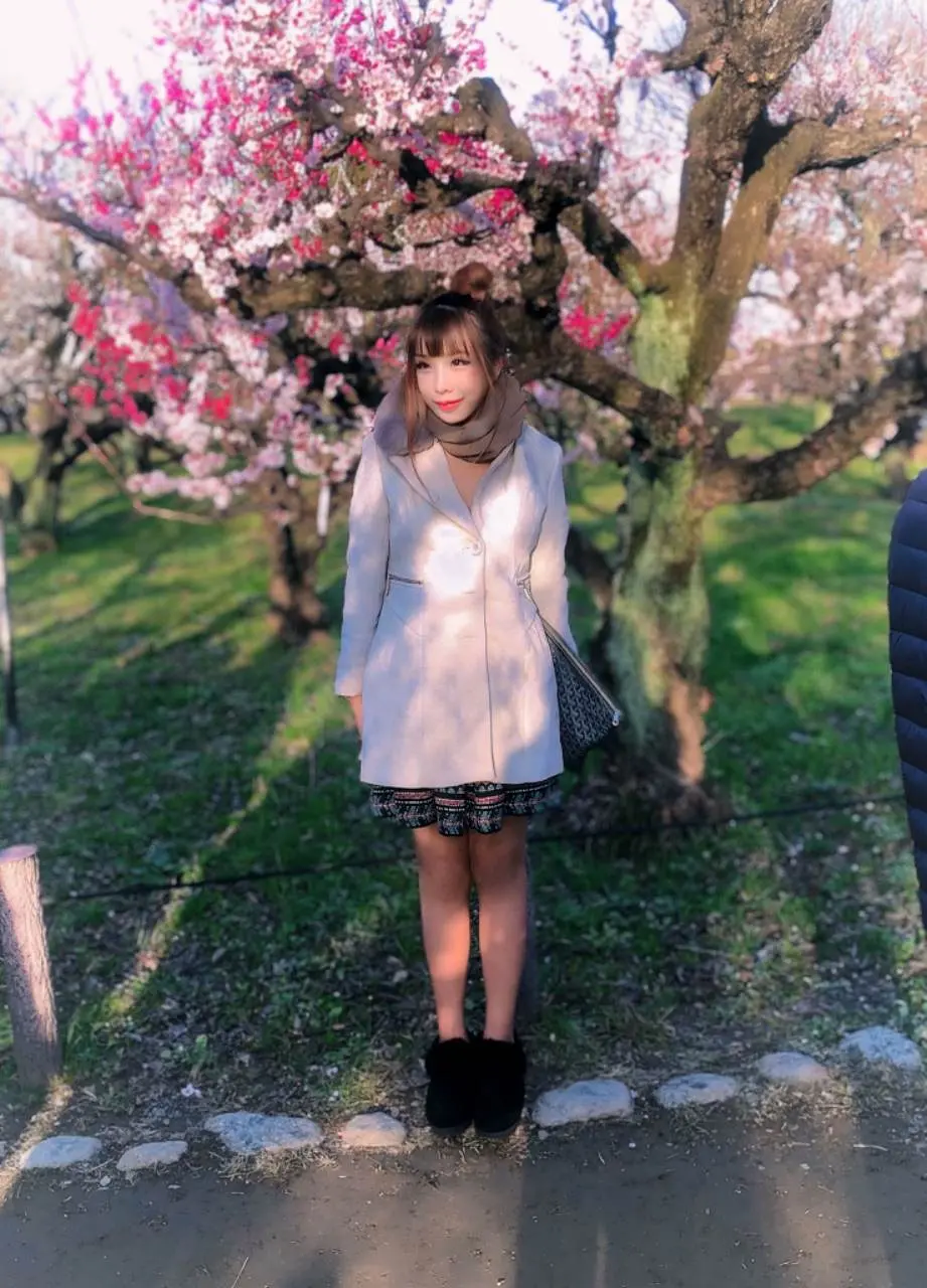 สาวน้อยในดงซากุระ ณ โอซะกะ