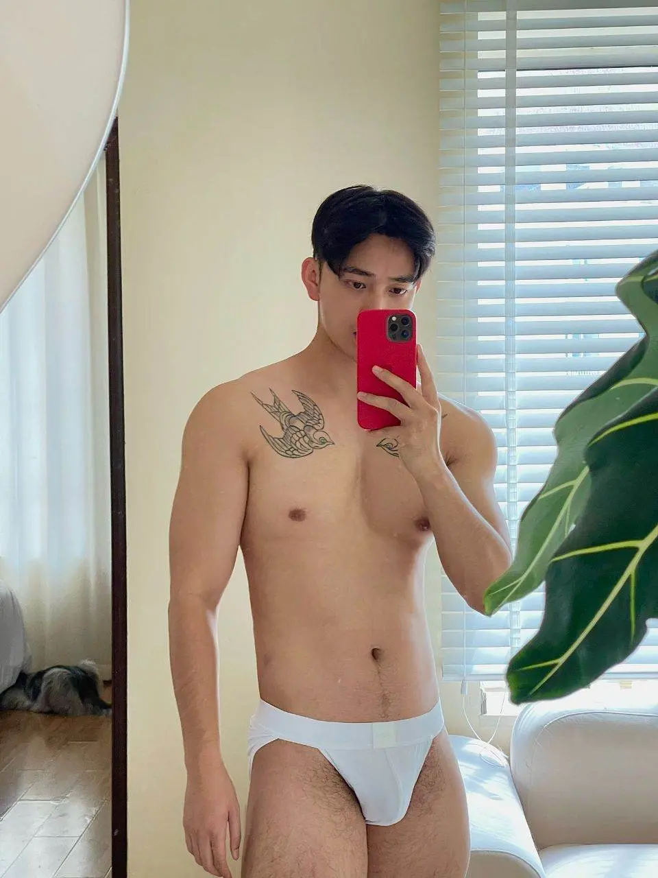 ตี๋น้อยแดนมังกร.
