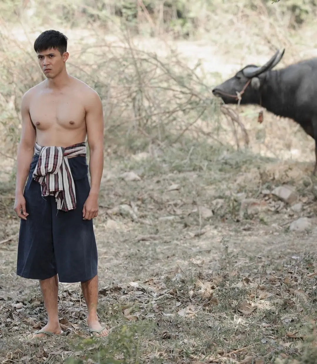ความผัวของบรรดาสามี