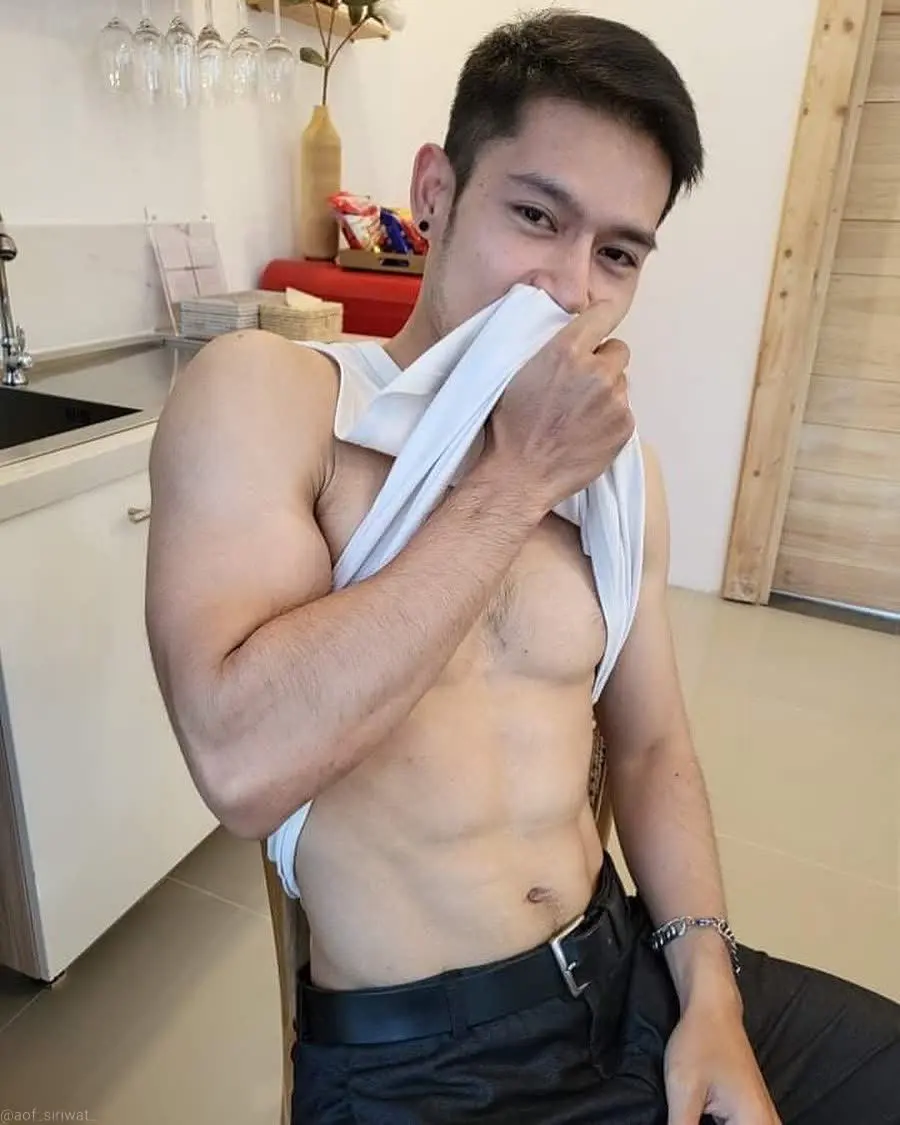 สิ่งที่ฝันหามายาใจ