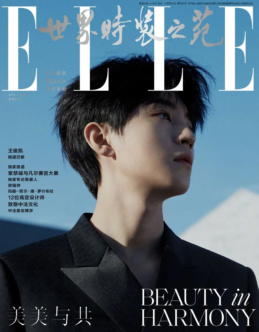 Karry Wang @ ELLE China April 2024