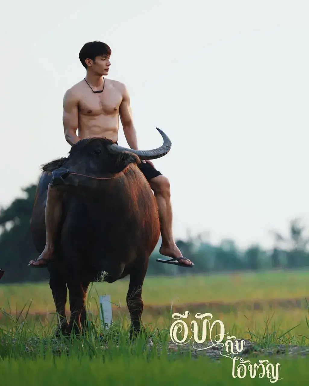 คณิน  ฟินม๊วกกกก