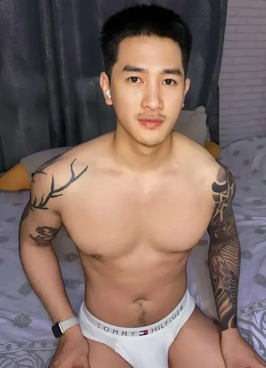 เปิดตัว