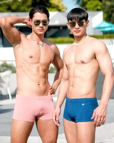 เปิดตัว