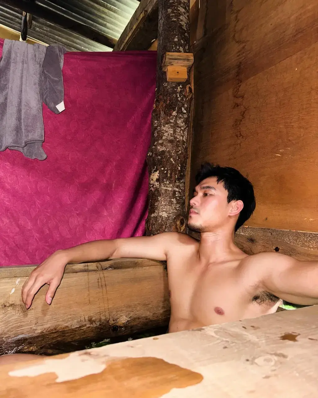 ดมอมเลีย