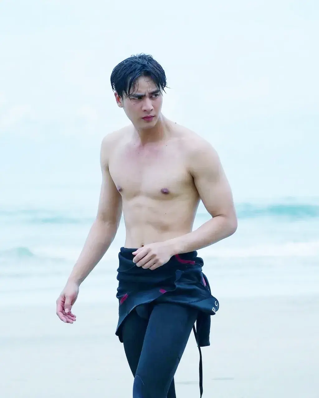 ดมอมเลีย