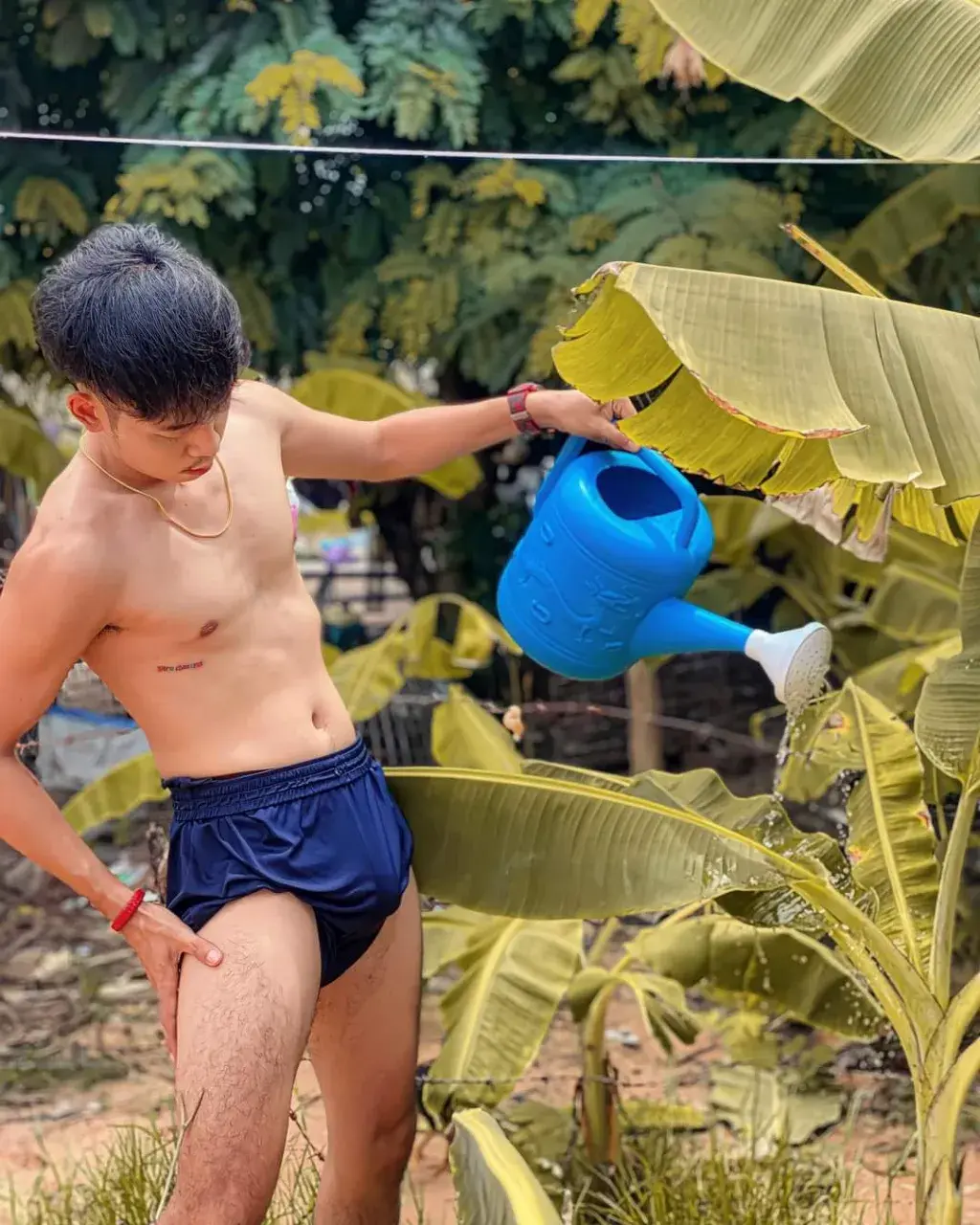 บัวรดน้ำของอ้าย