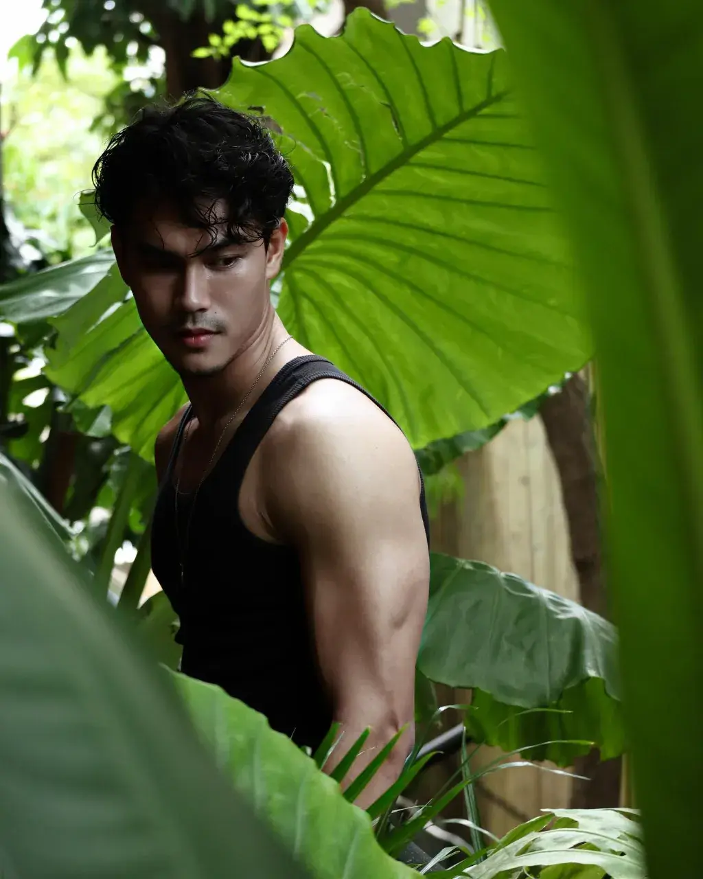 นิยมไทย