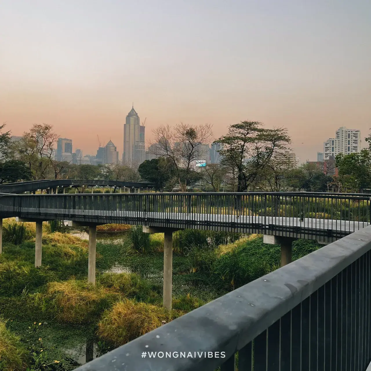 Benjakitti Park, Bangkok 🇹🇭