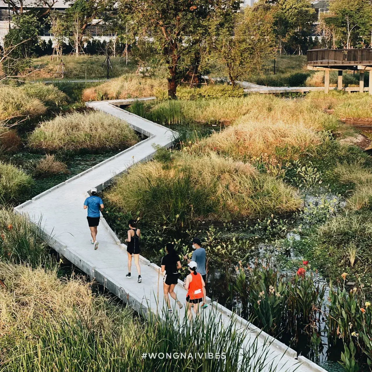 Benjakitti Park, Bangkok 🇹🇭