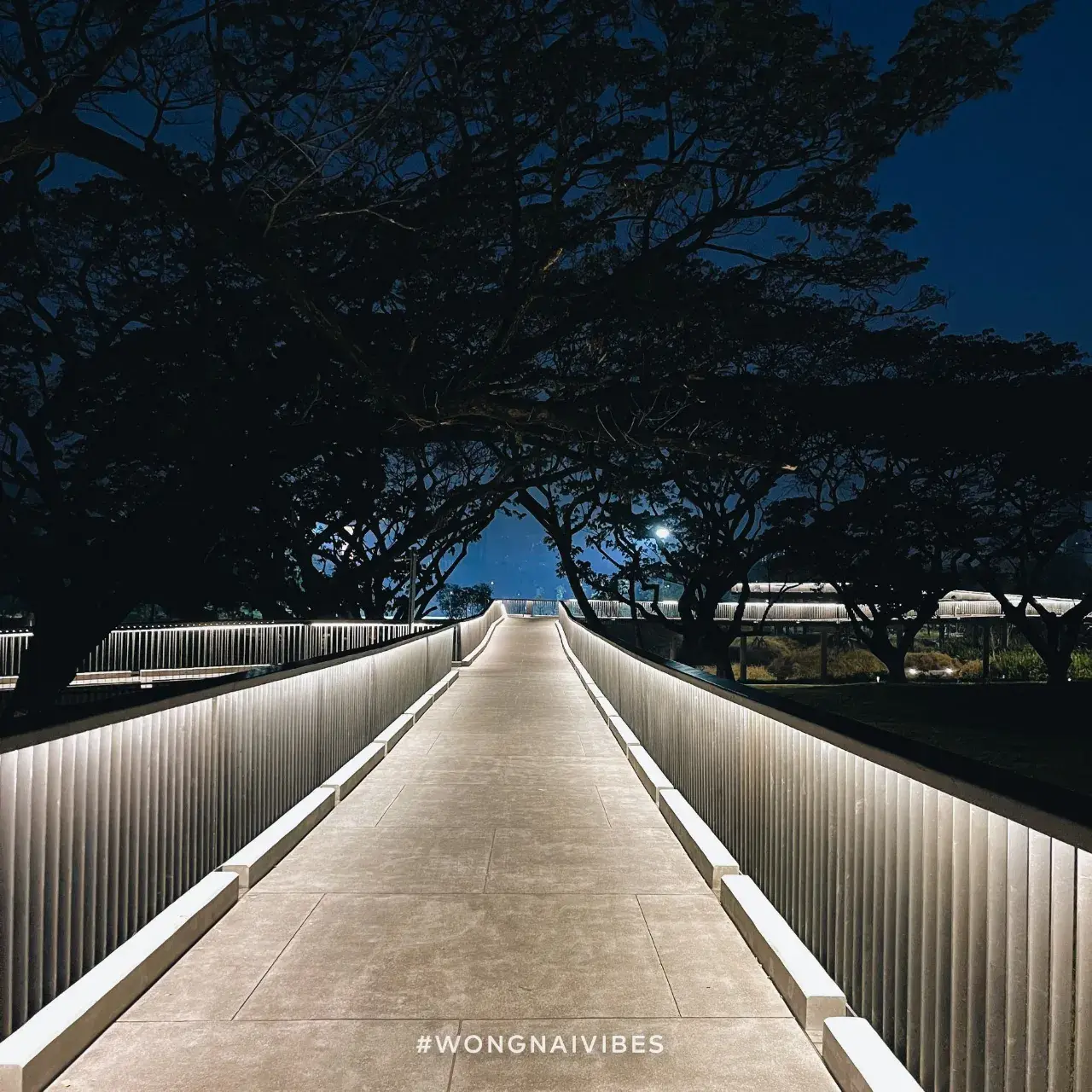Benjakitti Park, Bangkok 🇹🇭