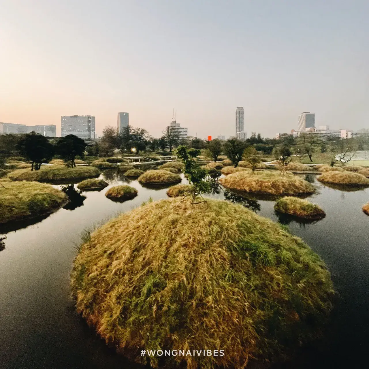 Benjakitti Park, Bangkok 🇹🇭