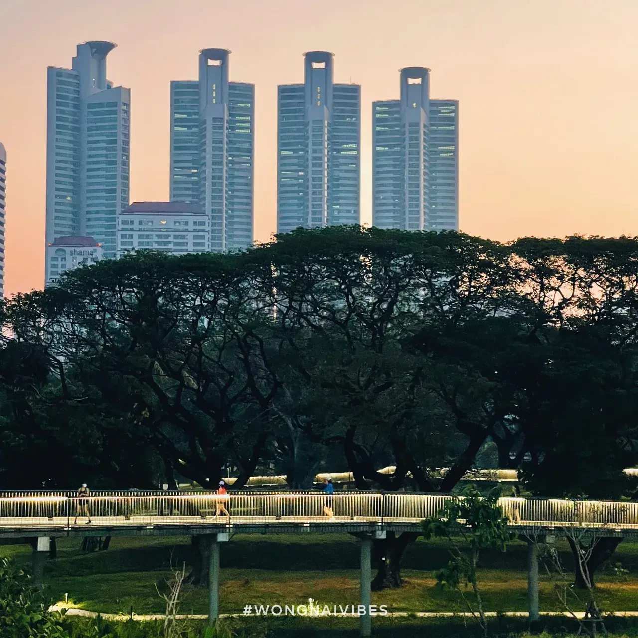 Benjakitti Park, Bangkok 🇹🇭