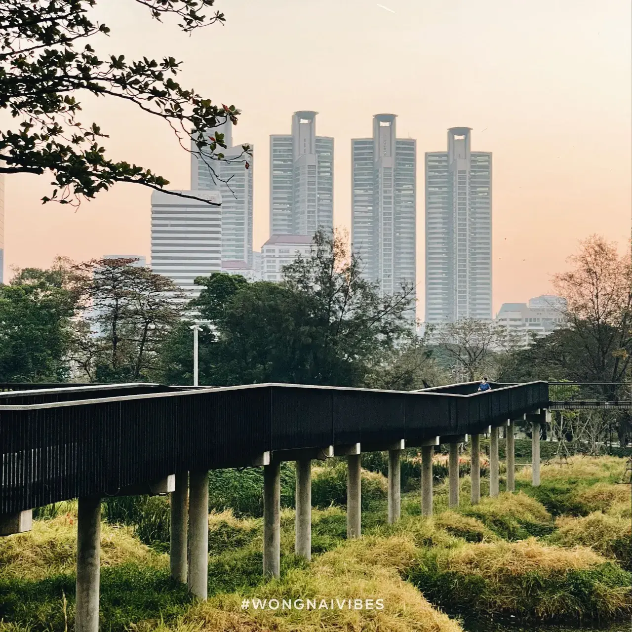 Benjakitti Park, Bangkok 🇹🇭
