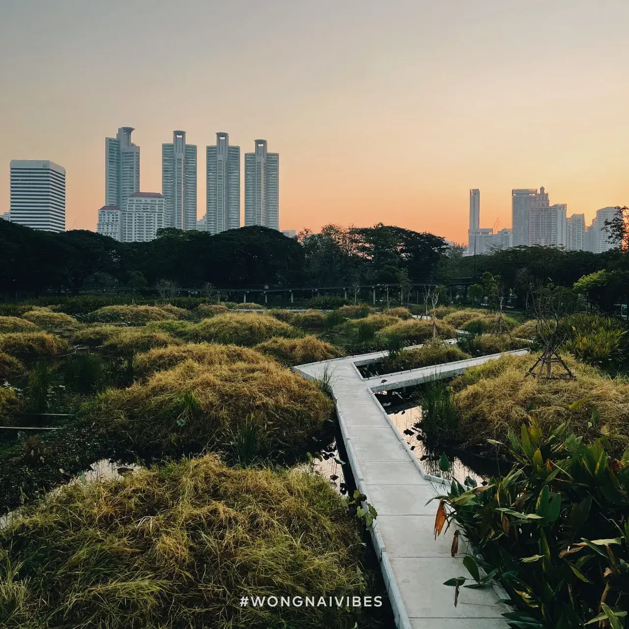 Benjakitti Park, Bangkok 🇹🇭